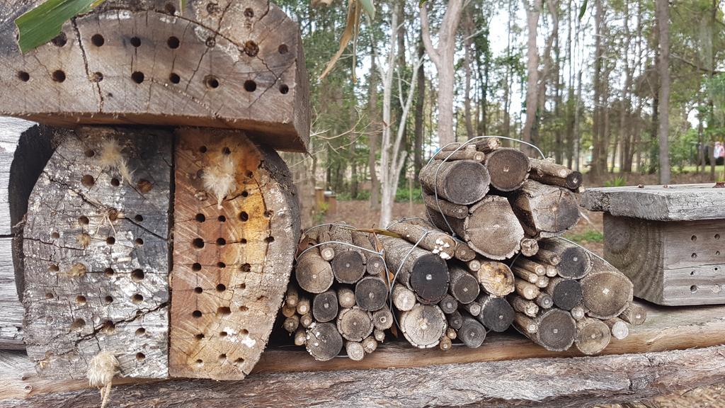 Kandanga Honeybee Wellness Resort מראה חיצוני תמונה