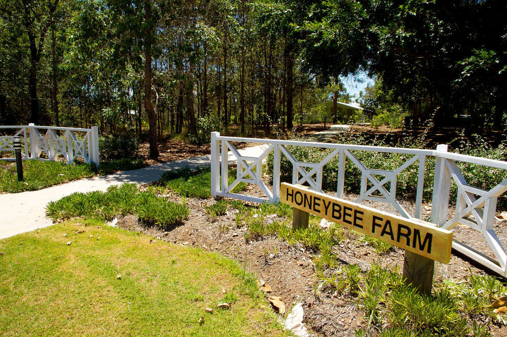 Kandanga Honeybee Wellness Resort מראה חיצוני תמונה